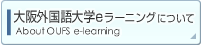 大阪外国語大学eラーニングについて